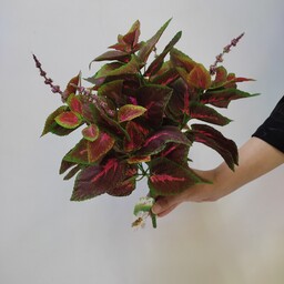 گل مصنوعی بوته حسن یوسف 