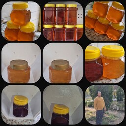 عسل طبیعی چهل گیاه ارگانیک یک کیلویی 