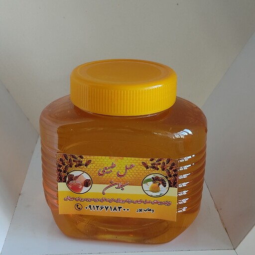 عسل طبیعی بهار نارنج یک کیلویی
