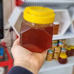 عسل طبیعی کوهستان (یک کیلویی)طعم ملایم و دلچسب
