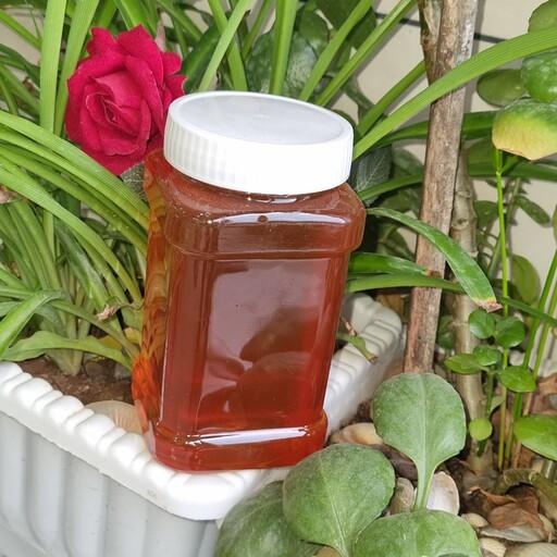 عسل طبیعی چهل گیاه (سبلان)یک کیلویی 