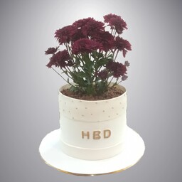 کیک تولد گلدان گل طبیعی (ارسال پس کرایه)