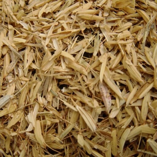 پوست برنج یک کیلو مخصوص گل ارسال از گیلان 