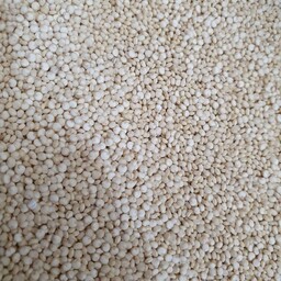 دانه کینوا سفید 500 گرم (ارسال از قم) 