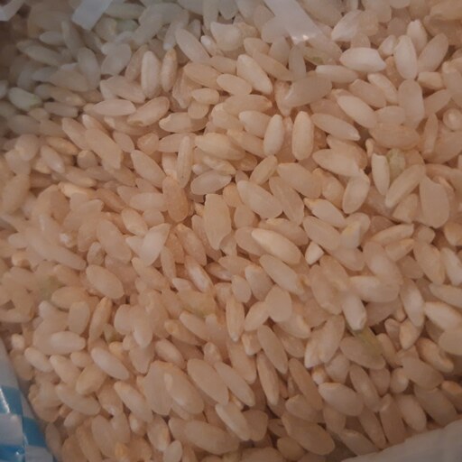 برنج محلی فارس 