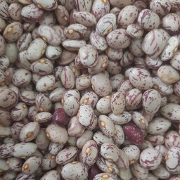لوبیا چیتی  ایرانی دستچین امساله محصول خمین