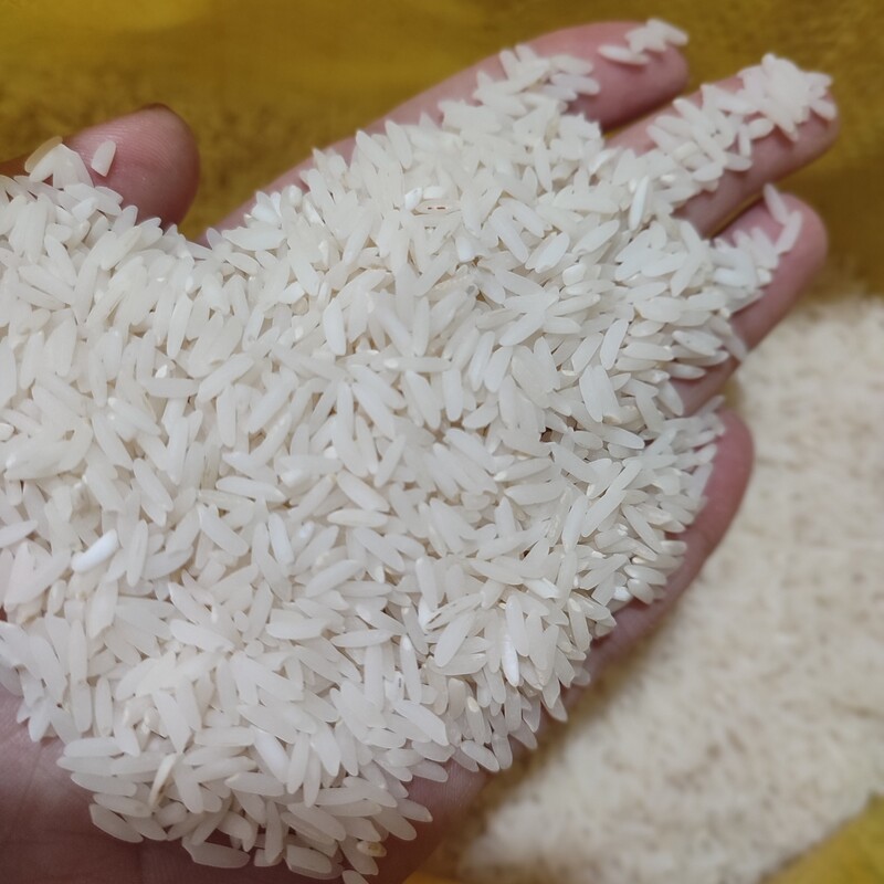 برنج هاشمی درجه یک... از بهترین شالیزارهای شمال بدون شکستگی و خورده ریزه