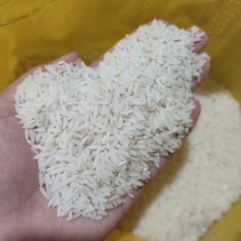 برنج هاشمی درجه یک... از بهترین شالیزارهای شمال بدون شکستگی و خورده ریزه