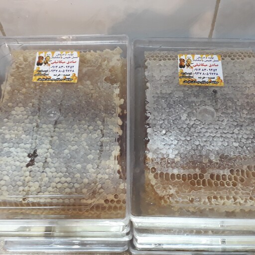 عسل شان طبیعی رامکا کاملا  عالی درجه یک  برداشت از زنبورستان خودم عمده و خرده از تولید به مصرف