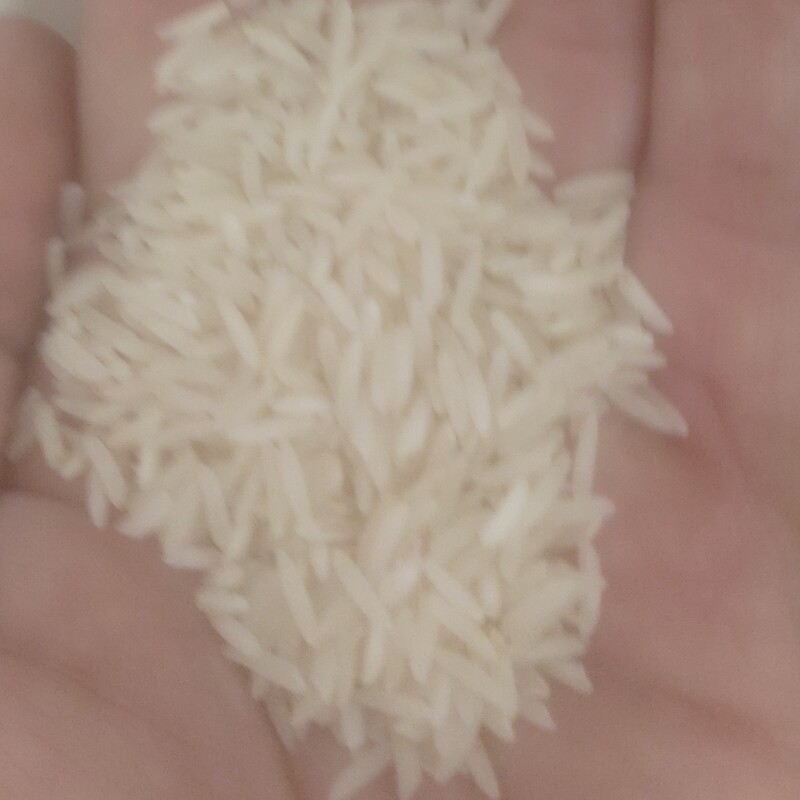 برنج فجر  اعلا شالی کوبی گیلار ... برنج فجر درجه 1 و اعلا خوش پخت خوش عطر  با قیمت مناسب و کیفیت عالی محصول گیلان 