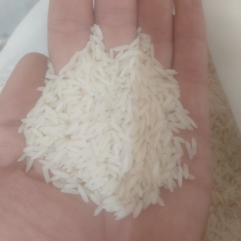 برنج خوشپخت (شیرودی)  شالی کوبی گیلار .. برنج خوش عطرو خوش مزه محصول گیلان  با ضمانت مرجوعی در صورت عدم رضایت 