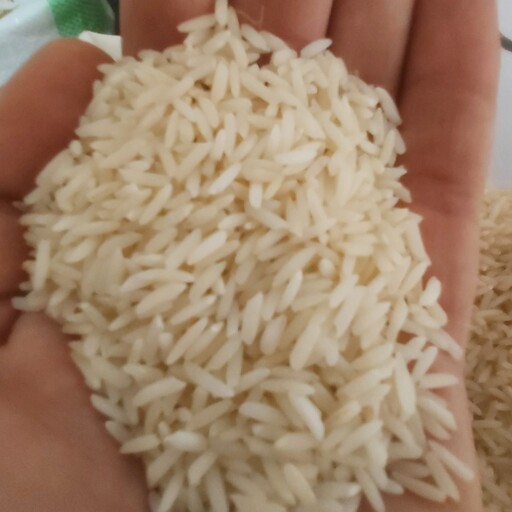 برنج طارم هاشمی اعلا شالی کوبی گیلار  درجه 1 صد در صد خالص خوش عطر  و خوش پخت تضمینی محصول گیلان