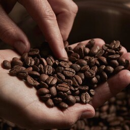 قهوه میکس صد در صد روبوستا