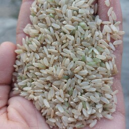 برنج کامفیروز سبوس دار (قهوه ای ) امساله (5 کیلویی )
