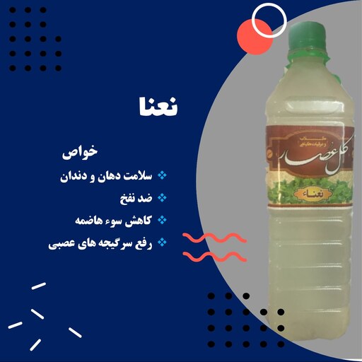 عرق نعنا ( یک لیتری)