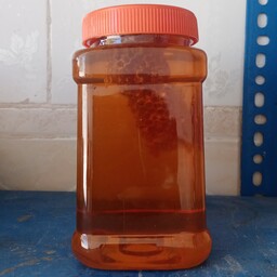 عسل طبیعی گون درجه یک آزمایش شده  1 کیلویی 
