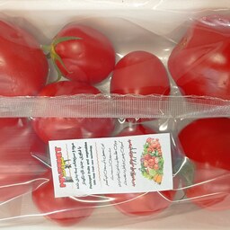 گوجه فرنگی رسمی یک کیلویی بسته بندی تازه نگهدار