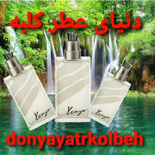 عطر کنزو جنگل 10 میل