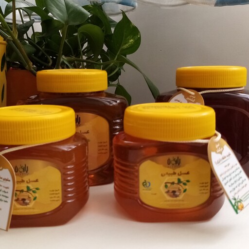 عسل طبیعی گشنیز نیم کیلویی بارگان، خالص وبدون تغذیه از شکر