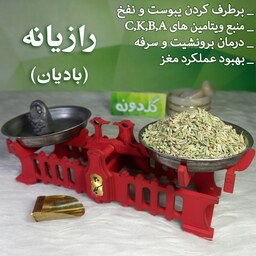 رازیانه (بادیان)درجه1 (100گرم)-رازیانه سبز -عطاری گلدونه