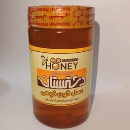 عسل گون کوهی 700 گرمی گیاهینو با برگه آزمایش