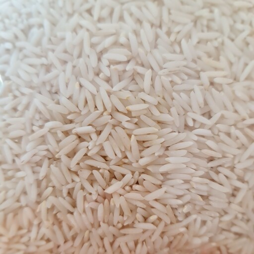 برنج صدری هاشمی لوکس گیلان 1 کیلویی