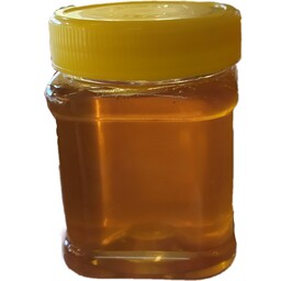 عسل طبیعی آویشن نیم کیلویی