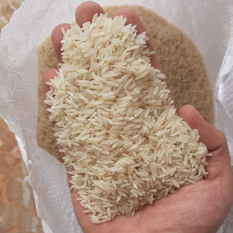 برنج فجر مجلسی اسبق کشت امسال - 10 کیلوگرم - به قیمت شالی کار