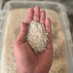 برنج هاشمی  اعلا درجه یک محصول گیلان 