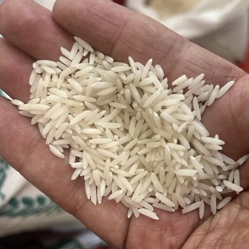 برنج آستانه اشرفیه مرواریدشمال معطر و خوش طعم بدون قاطی با ارسال رایگان درب منزل