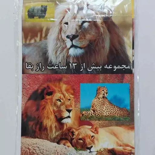 DVD مجموعه بیش از 13 ساعت راز بقا حیوانات  فیلم مستند  حیوانات حیات وحش   لوح فشرده دیسک dvd دی وی دی