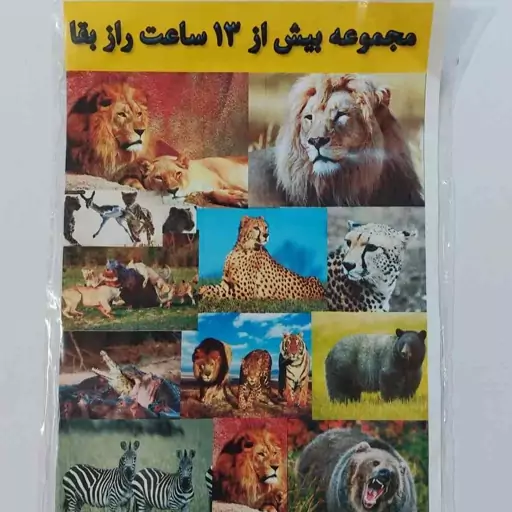 DVD مجموعه بیش از 13 ساعت راز بقا حیوانات  فیلم مستند  حیوانات حیات وحش   لوح فشرده دیسک dvd دی وی دی