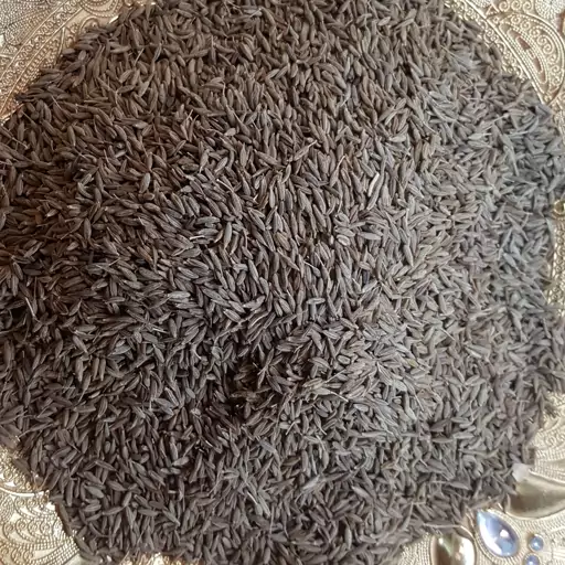 زیره سبز کرمانی تازه و درجه یک(500گرم)