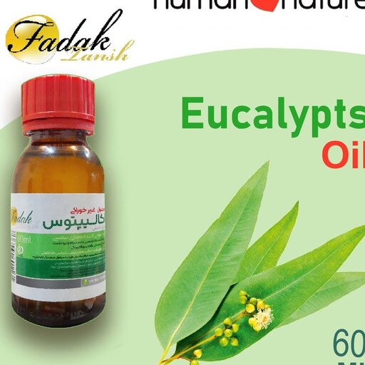 محلول بخور فدک تانیش مدل Eucalyptus حجم 60 میلی لیتر