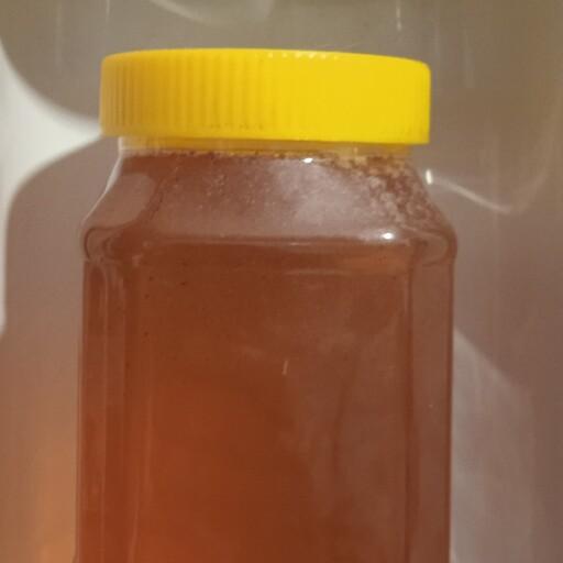 عسل گون طبیعی  یک کیلو گرمی