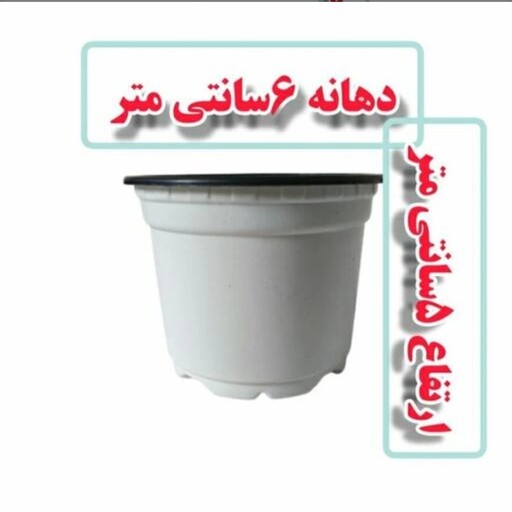 گلدان پلاستیکی ژله ای سایز 6  سفید  پک 50 عددی