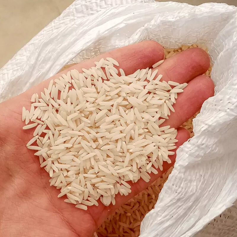 برنج طارم بینام شمال (برنج پر محصول شمال) قیمت مناسب 10کیلویی