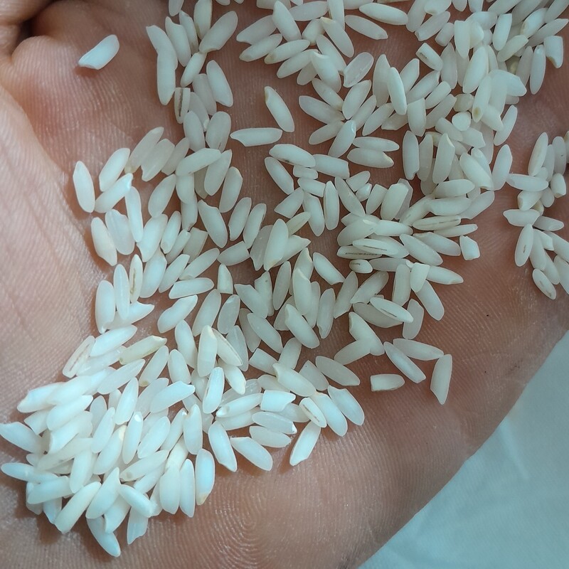 برنج عنبر بو معطر