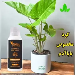 کود مایع مخصوص گل بابا آدم برند تایمکس حجم 150 میلی لیتر 