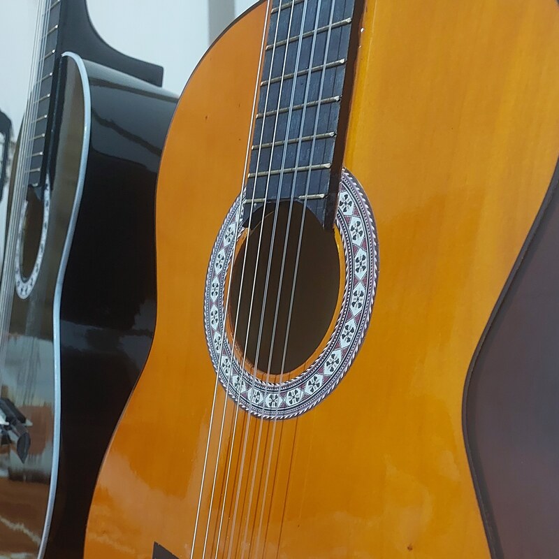 گیتار کلاسیک PRo MAX C80