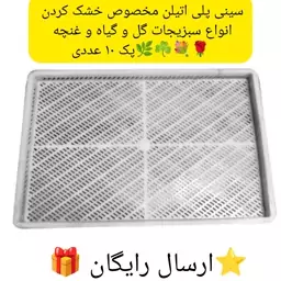 سینی خشک کن پلی اتیلن گل و غنچه 10 عددی و سبزیجات و میوه پسکرایه 