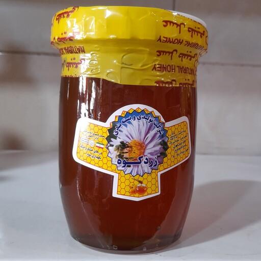عسل طبیعی زردکوه اصل ودرجه یک(800)گرم