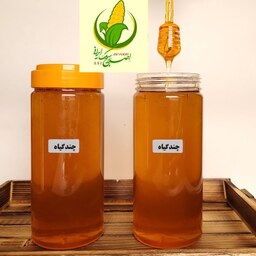 عسل چندگیاه طبیعی 1 کیلو خالص مناسب افراد دیابتی با خاصیت درمانی