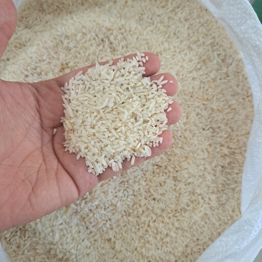 برنج سرلاشه هاشمی با درصد بالای برنج درشت دانه