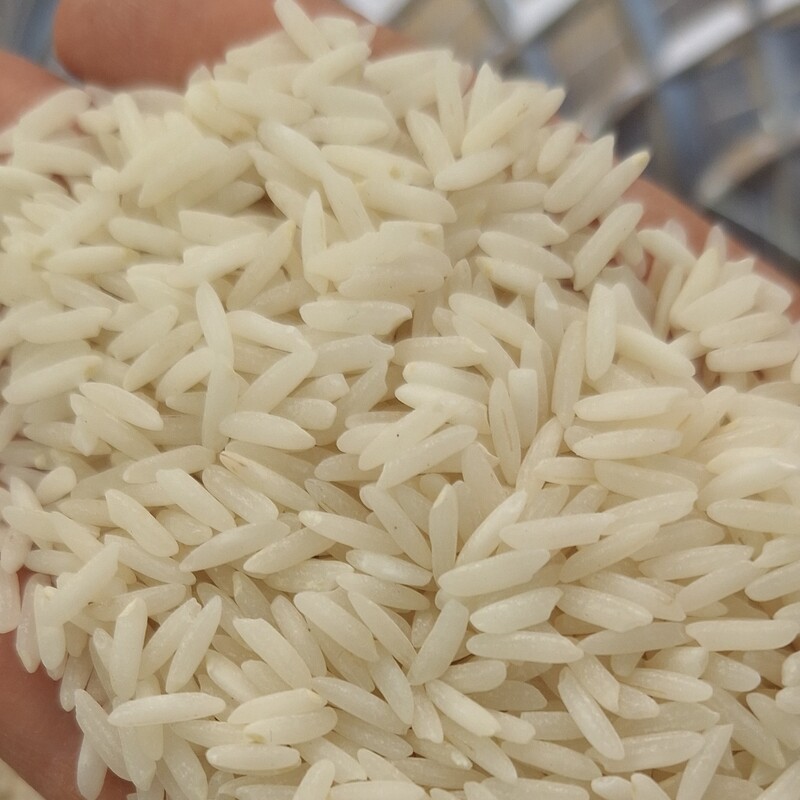 برنج ایرانی خوشپخت فریدونکنار   کیسه 10 کیلویی امساله 