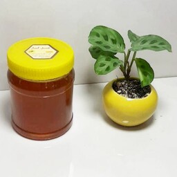 عسل کناربسیارباکیفیت(نیم کیلویی)