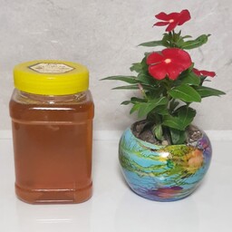 عسل چندگیاه اعلاء (یک کیلویی)