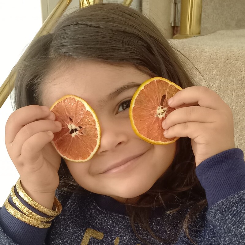 پرتقال خشک هدیه