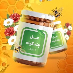 عسل چند گیاه اعلا ،طبیعی  ساکارز 4، 1 کیلوی، ضد پوکی استخوان 