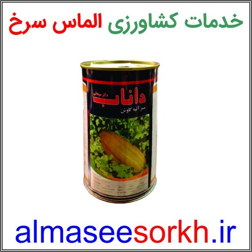 بذر خربزه (مشهدی) خاتونی داناب